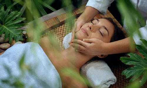 Panchakarma Therapy